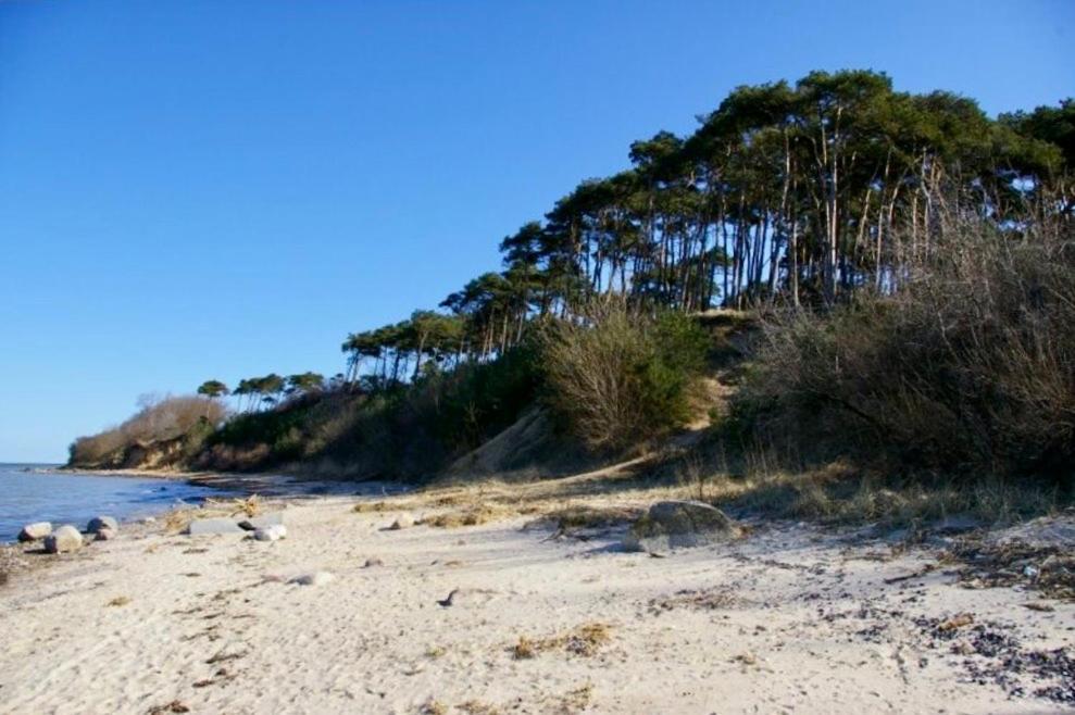 Tallskog - Dein Apartment Am Naturstrand Hohen Wieschendorf Hohenkirchen  Екстер'єр фото