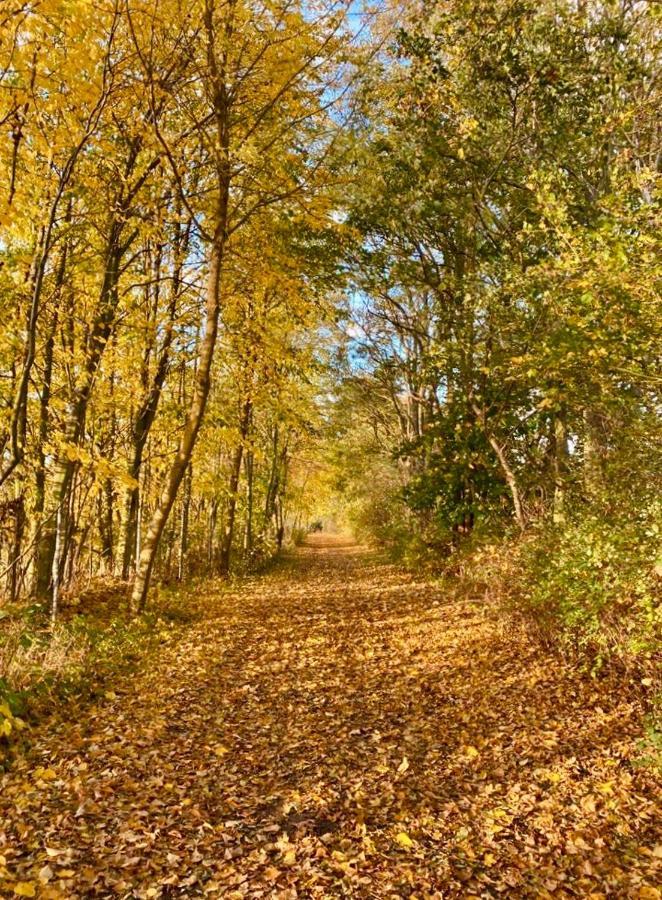 Tallskog - Dein Apartment Am Naturstrand Hohen Wieschendorf Hohenkirchen  Екстер'єр фото